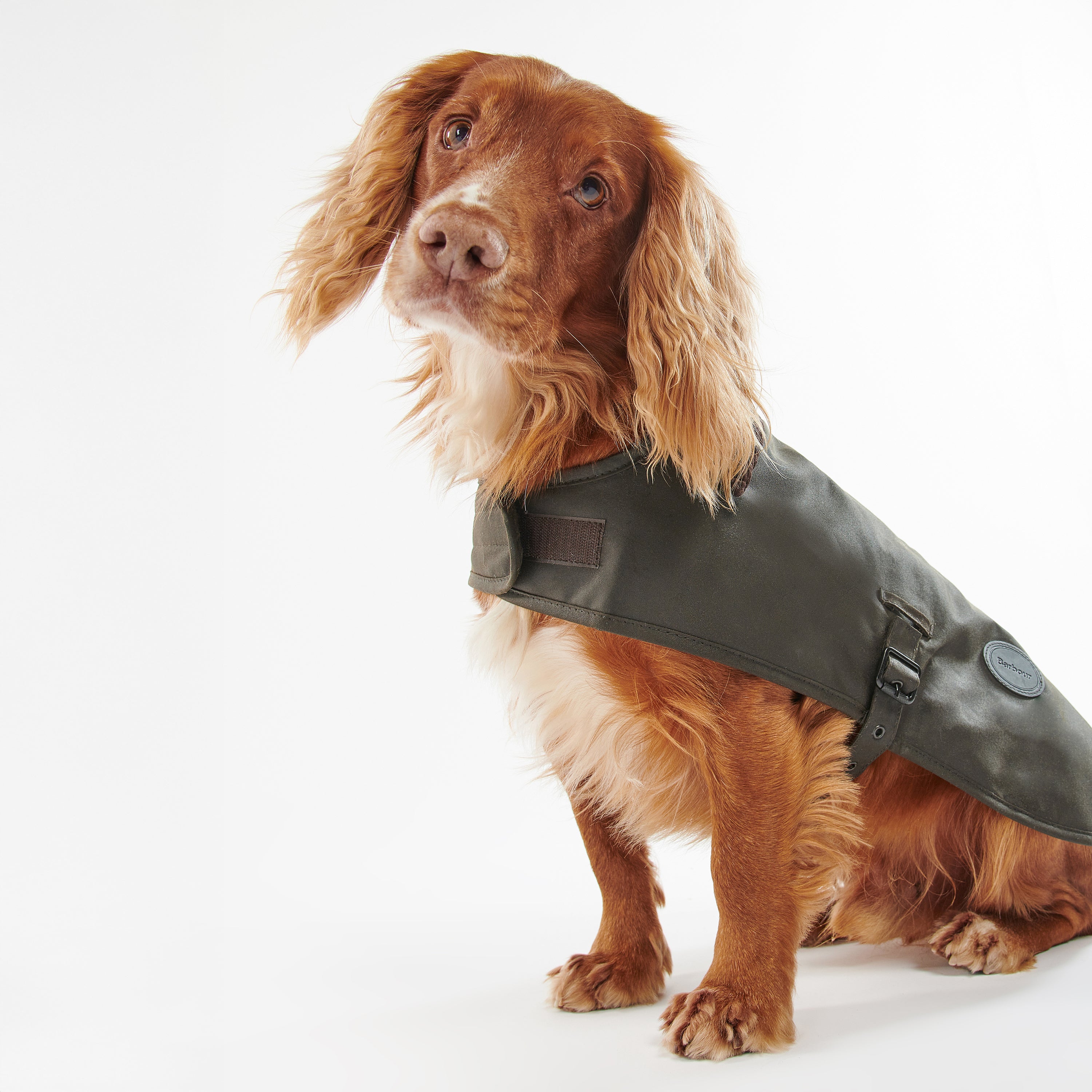 Wax Dog Coat - Olive