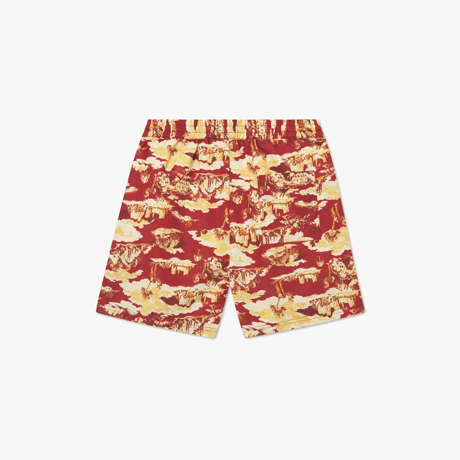 Stan Ruins AOP Swim Shorts 2.0