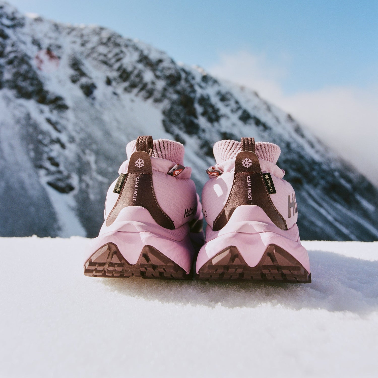 Pink and brown shoes on a snowy surface with a mountain in the background