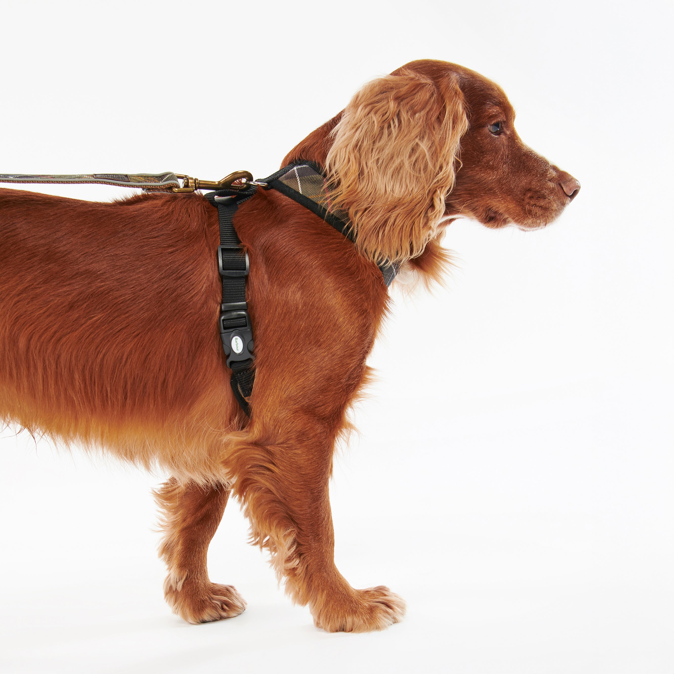 Tartan Dog Harness