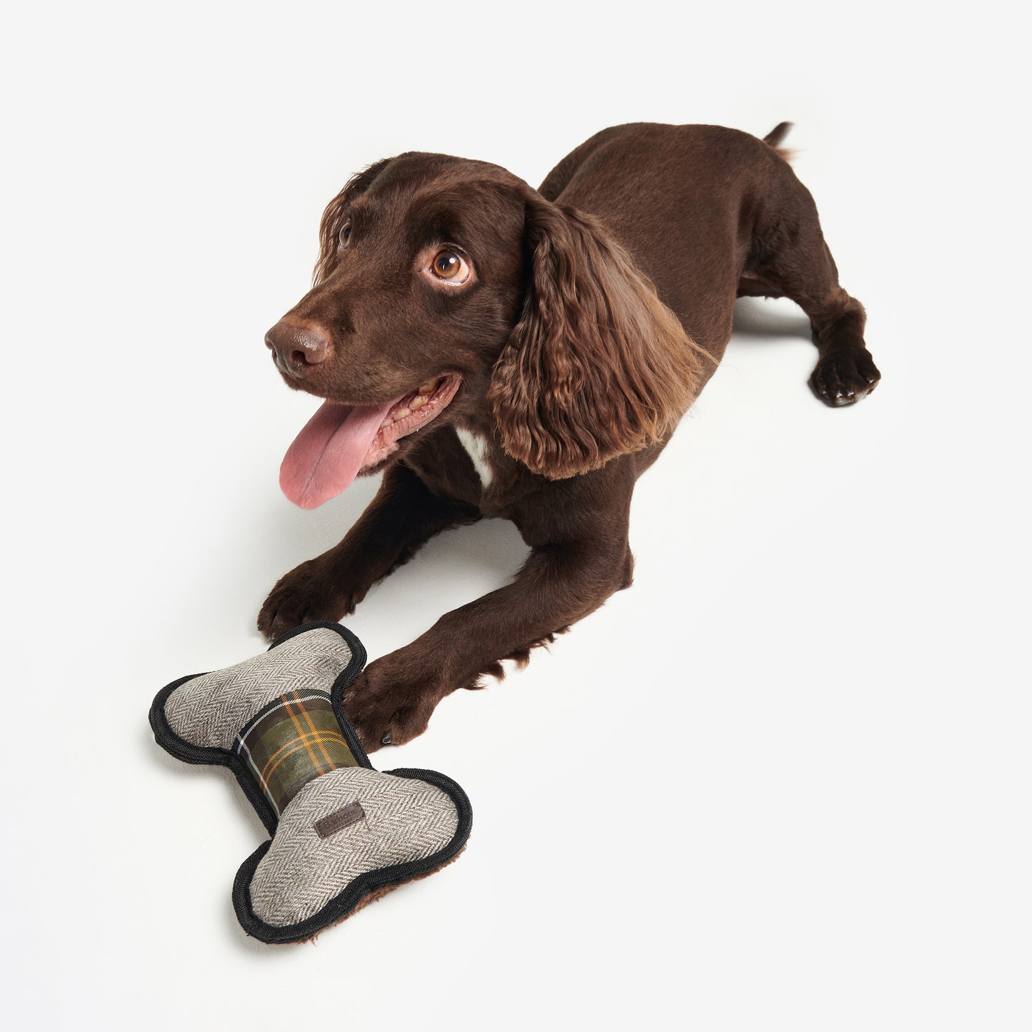 Bone Dog Toy