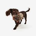 Hedgehog Dog Toy