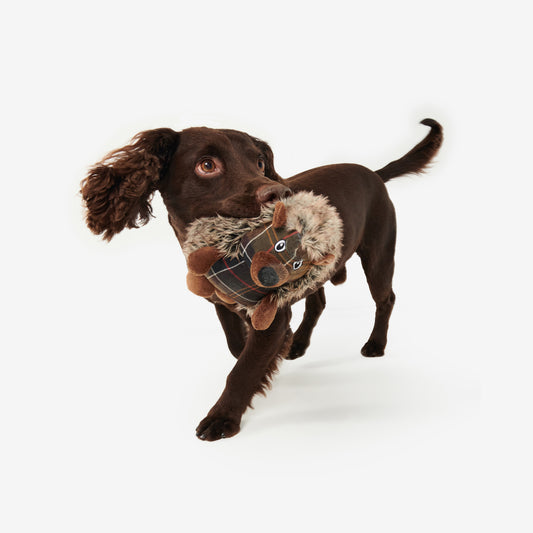 Hedgehog Dog Toy