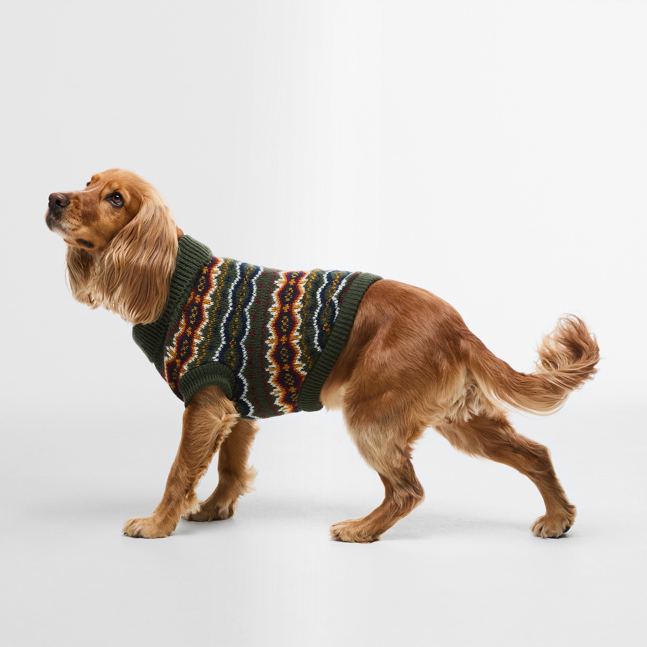 Case Fair Isle Dog Gift
