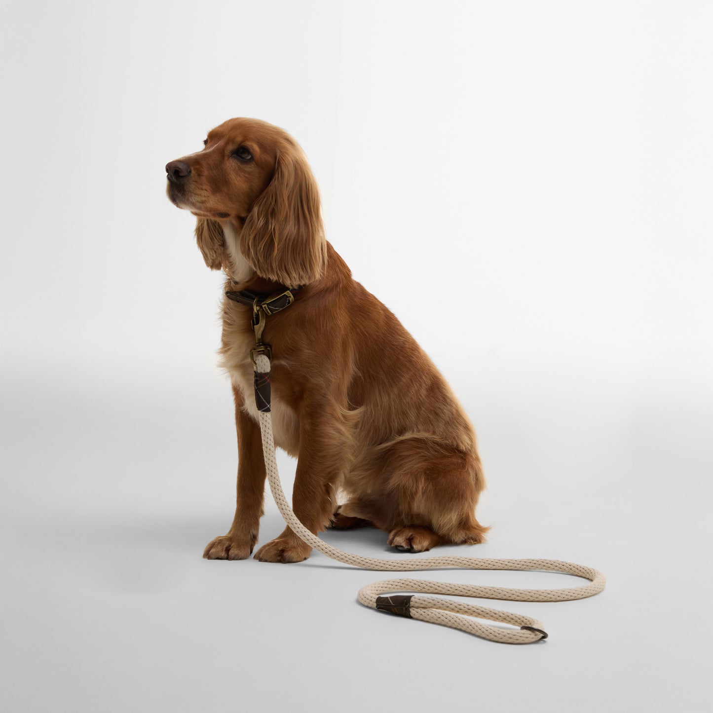 Cotton Rope Dog Lead