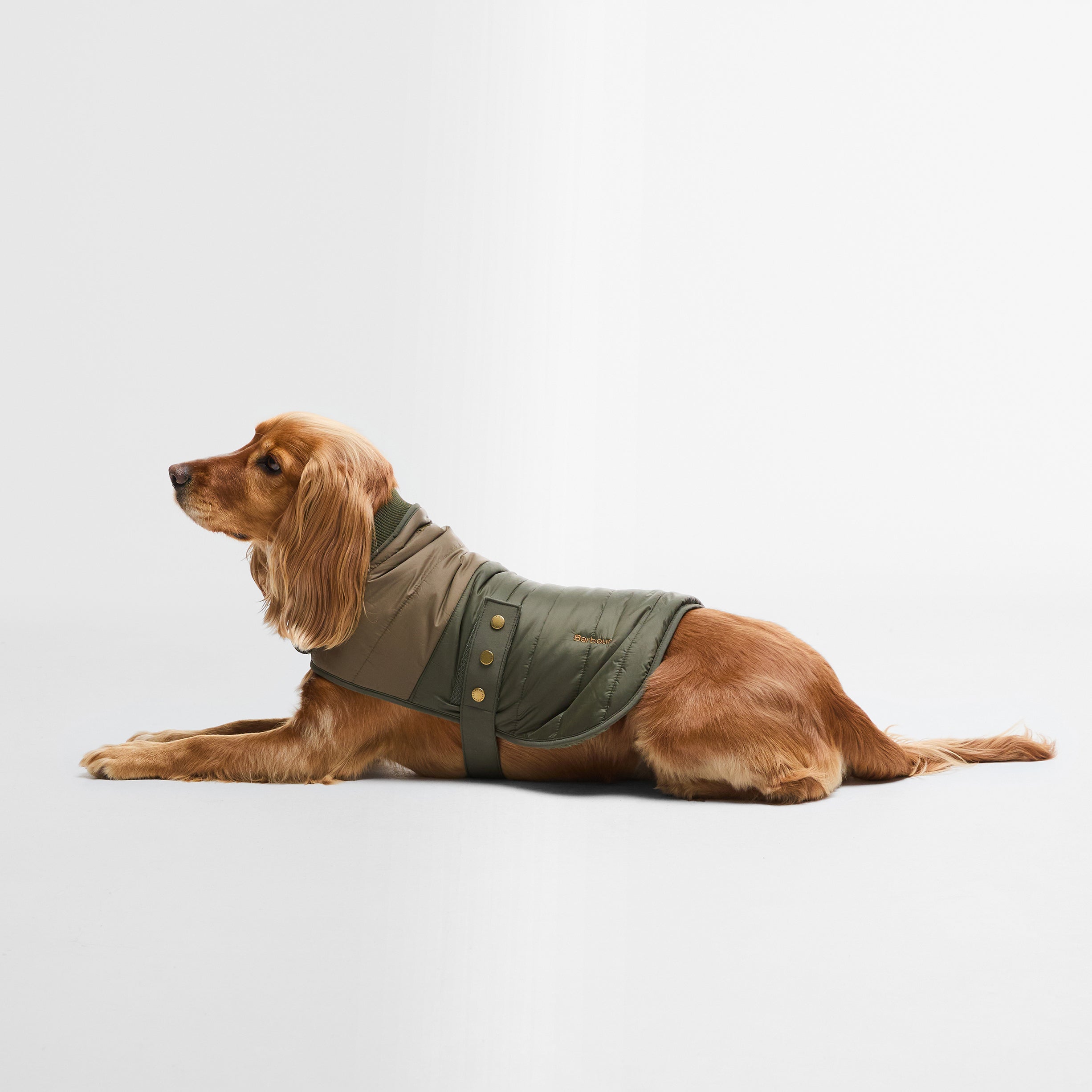 Brampton Quilted Dog Coat - Olive/Khaki