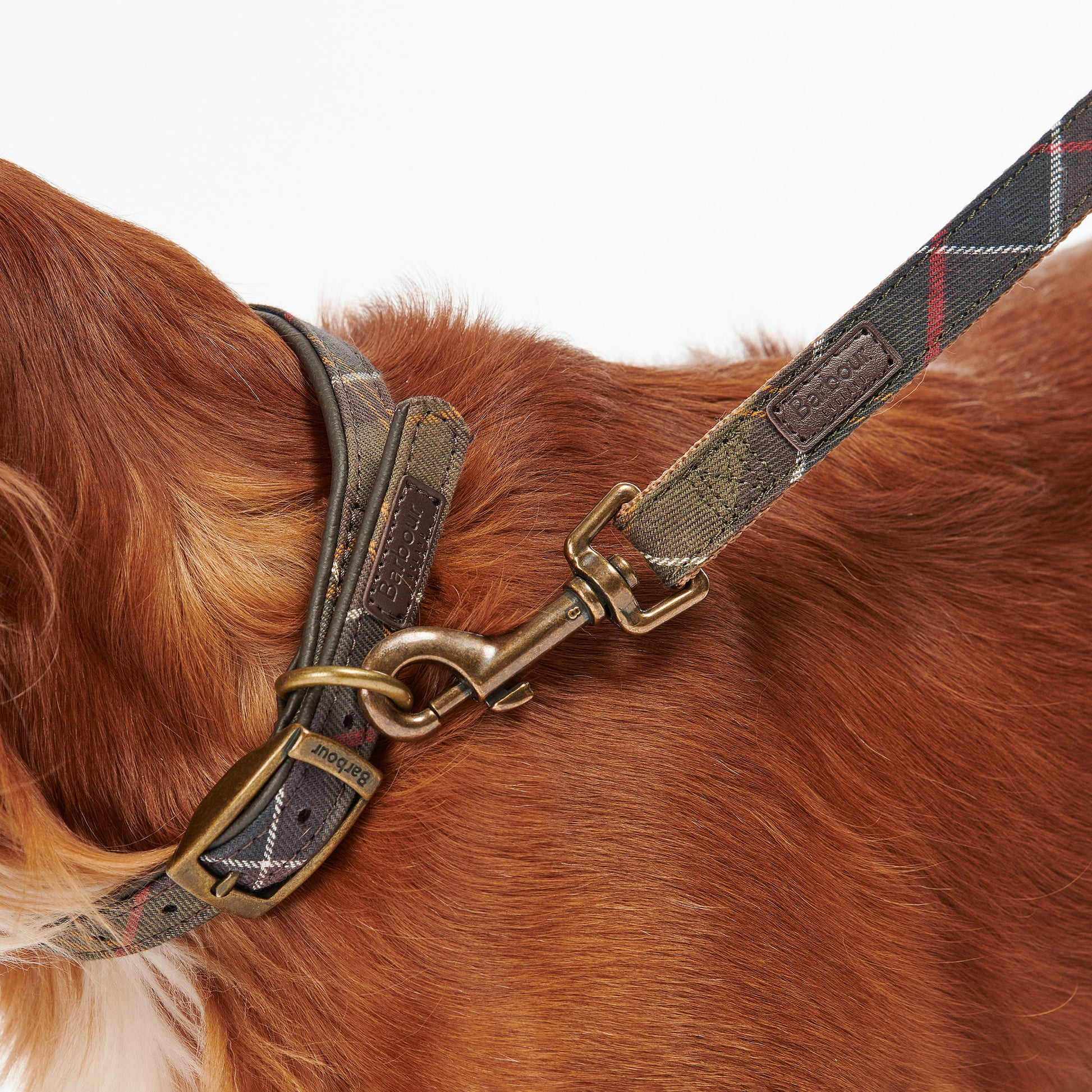 Barbour Dog One Size Tartan Webbing Dog Lead
