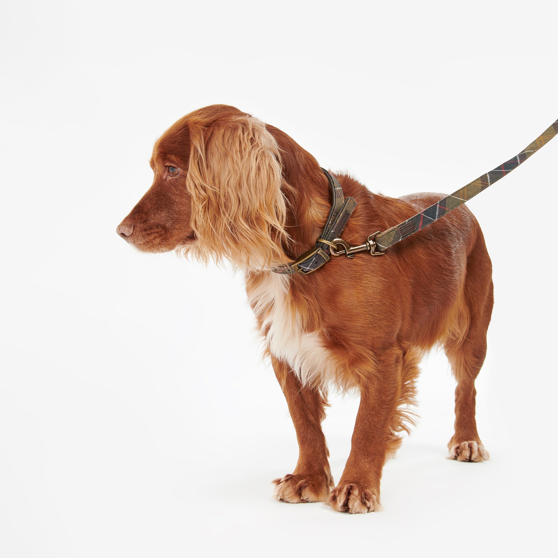 Barbour Dog One Size Tartan Webbing Dog Lead