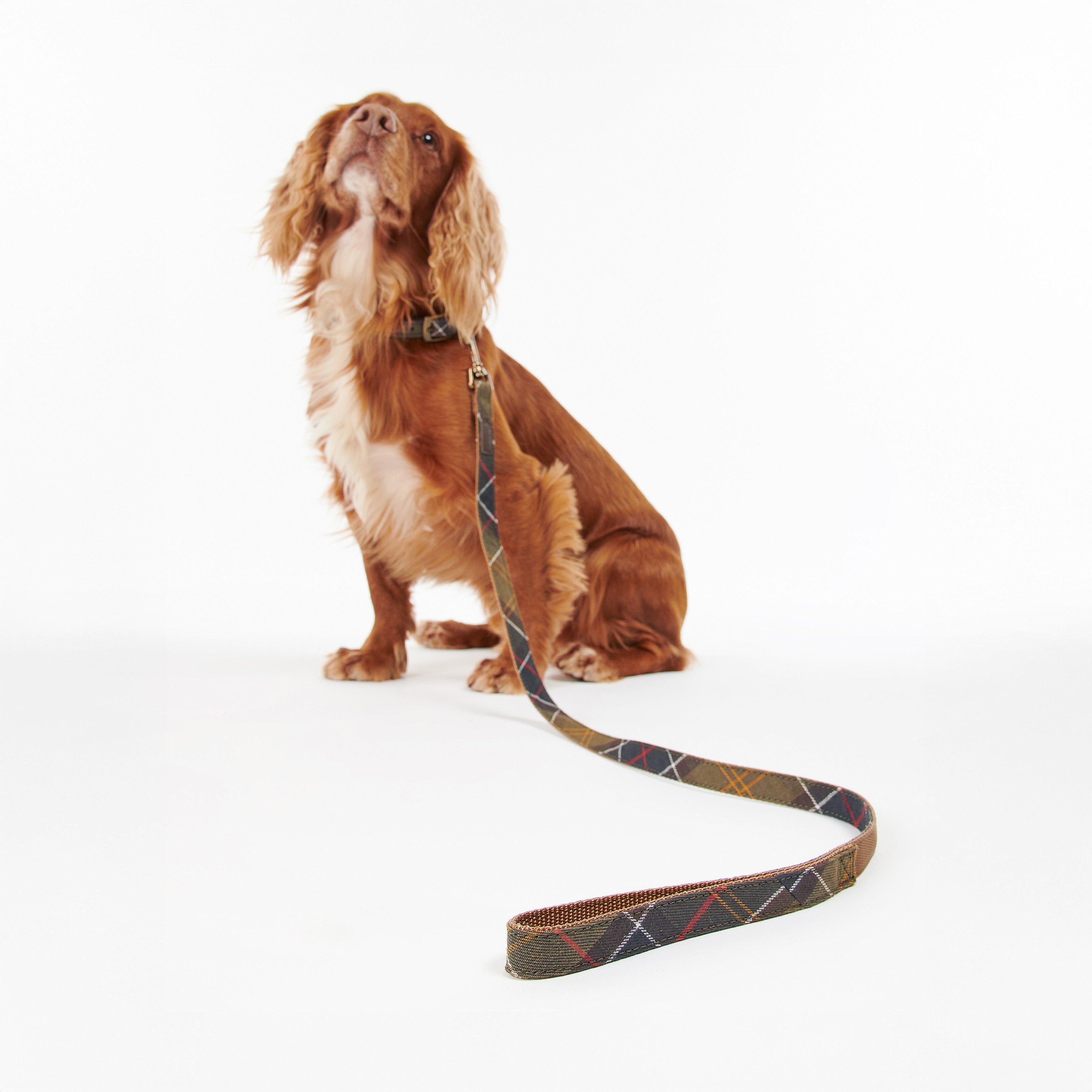 Barbour Dog One Size Tartan Webbing Dog Lead