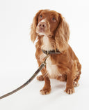 Barbour Dog Reflective Dog Lead
