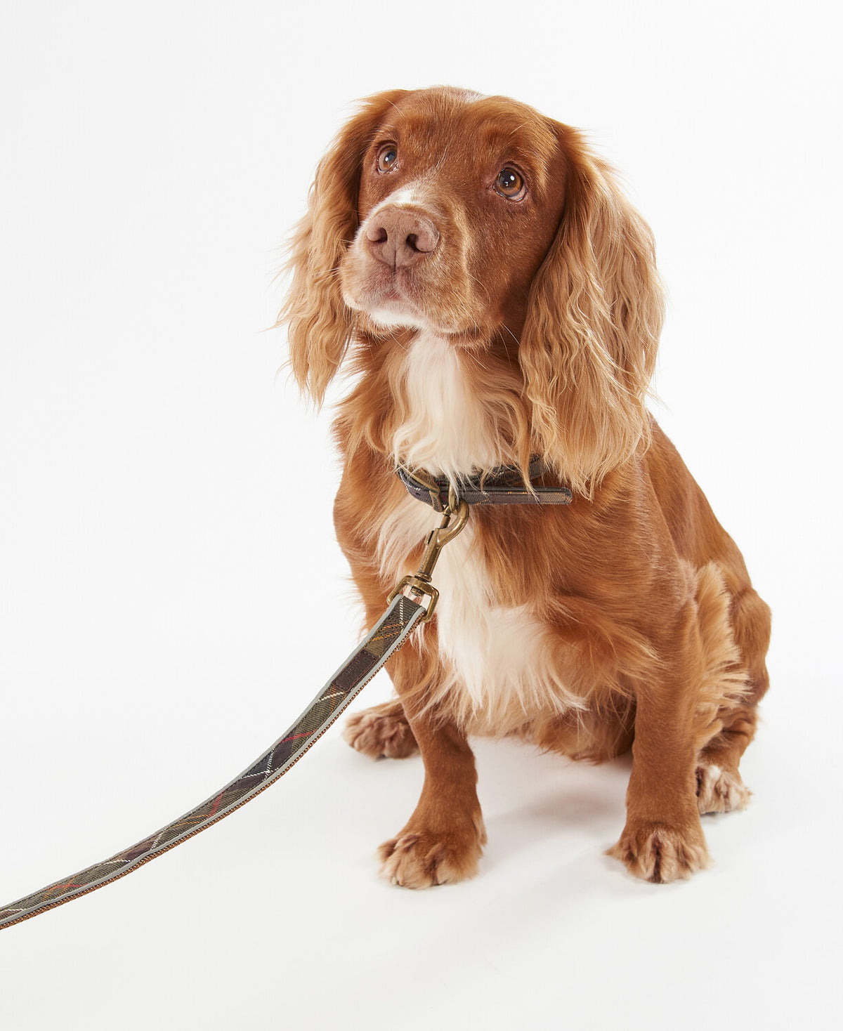 Barbour Dog Reflective Dog Lead