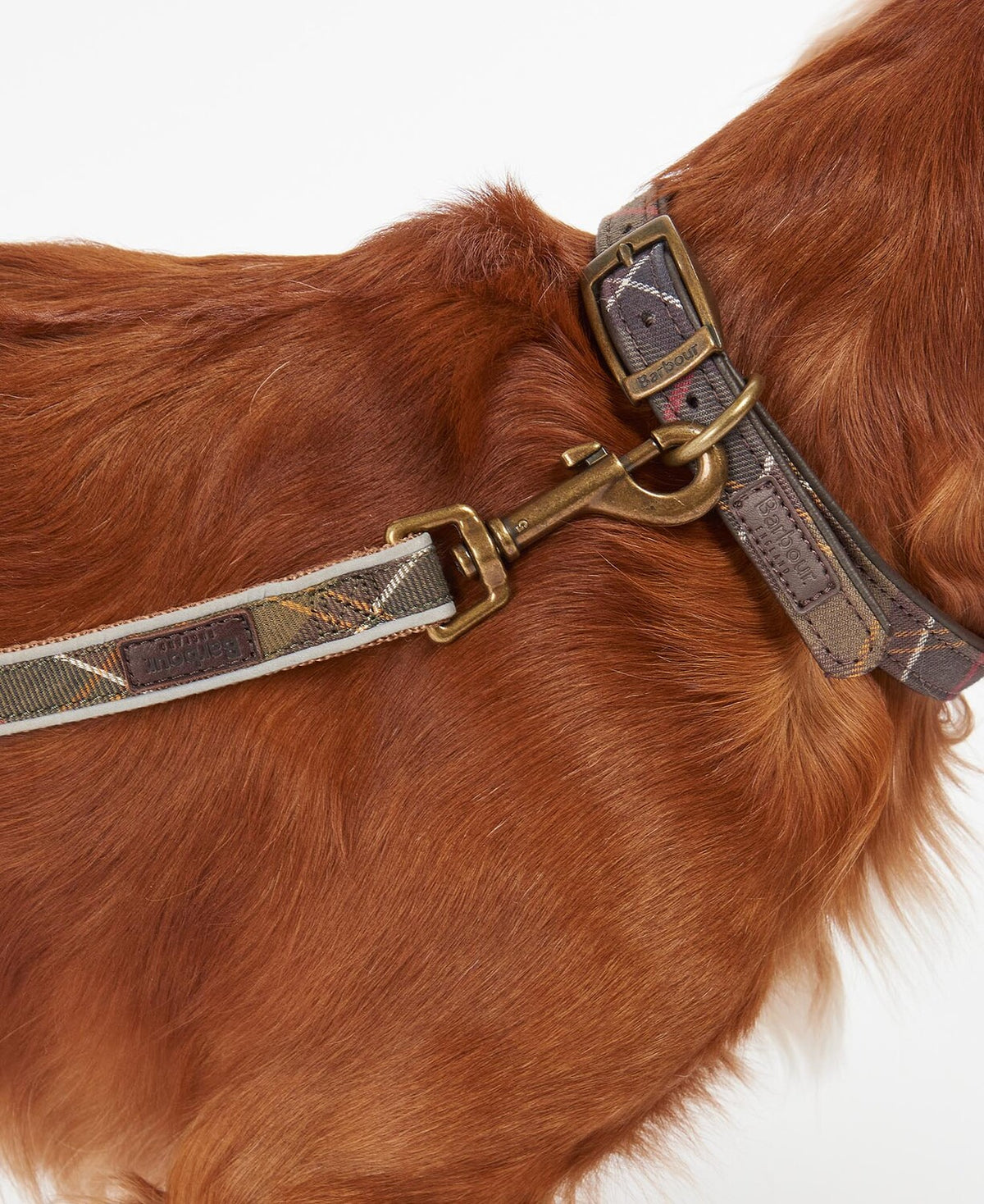 Barbour Dog Reflective Dog Lead