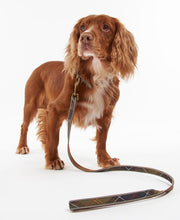 Barbour Dog Reflective Dog Lead