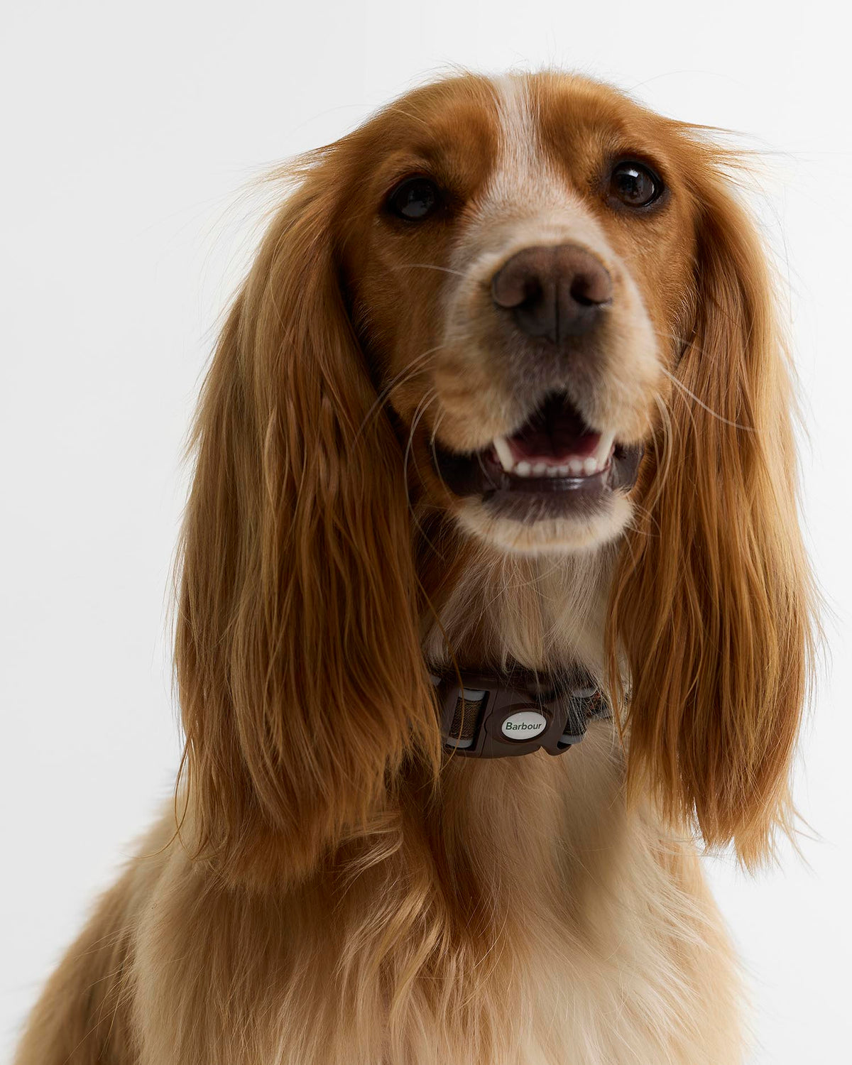 Barbour Dog Reflective Tartan Dog Collar