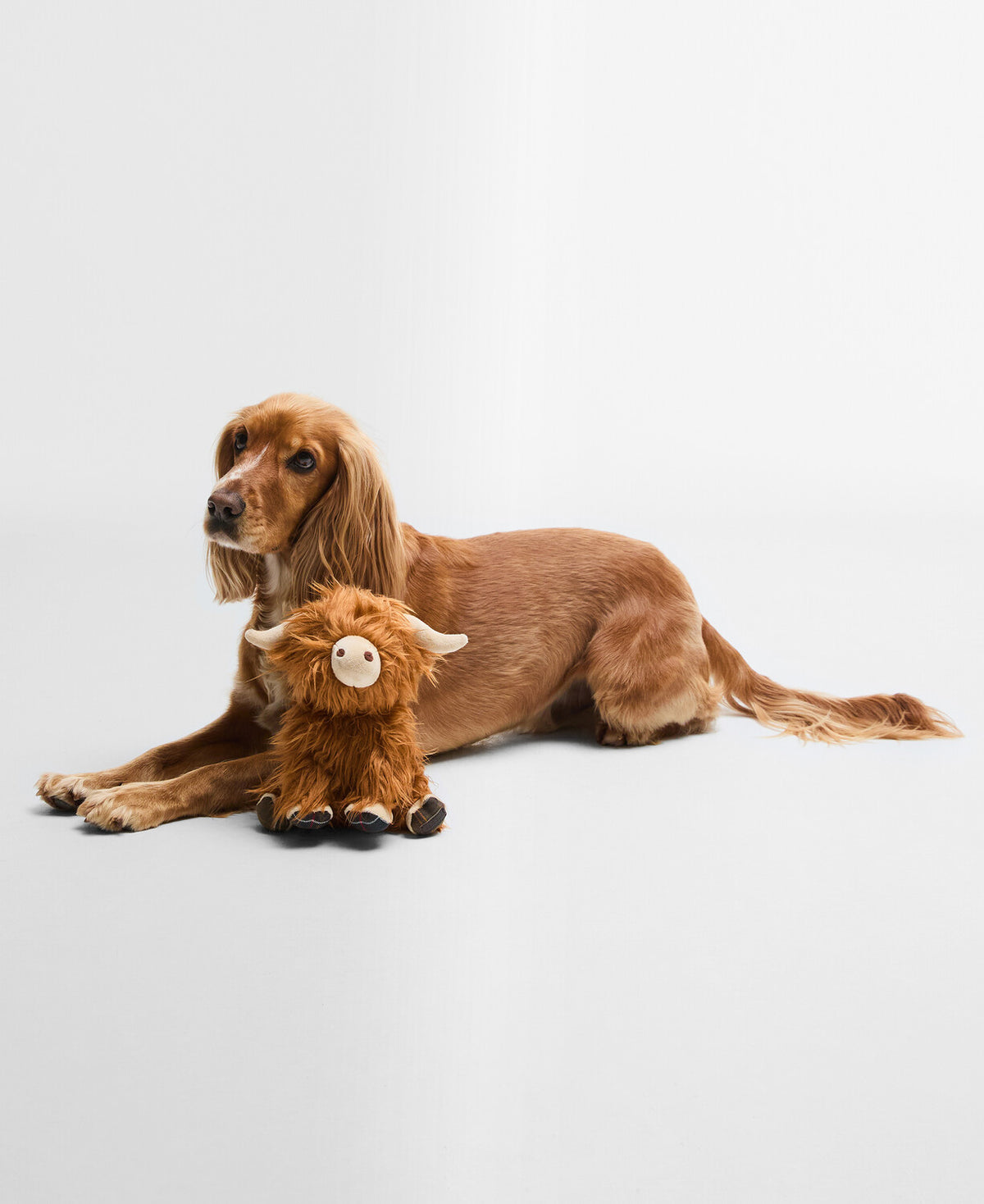 Barbour Dog Toy Highland Cow Dog Toy