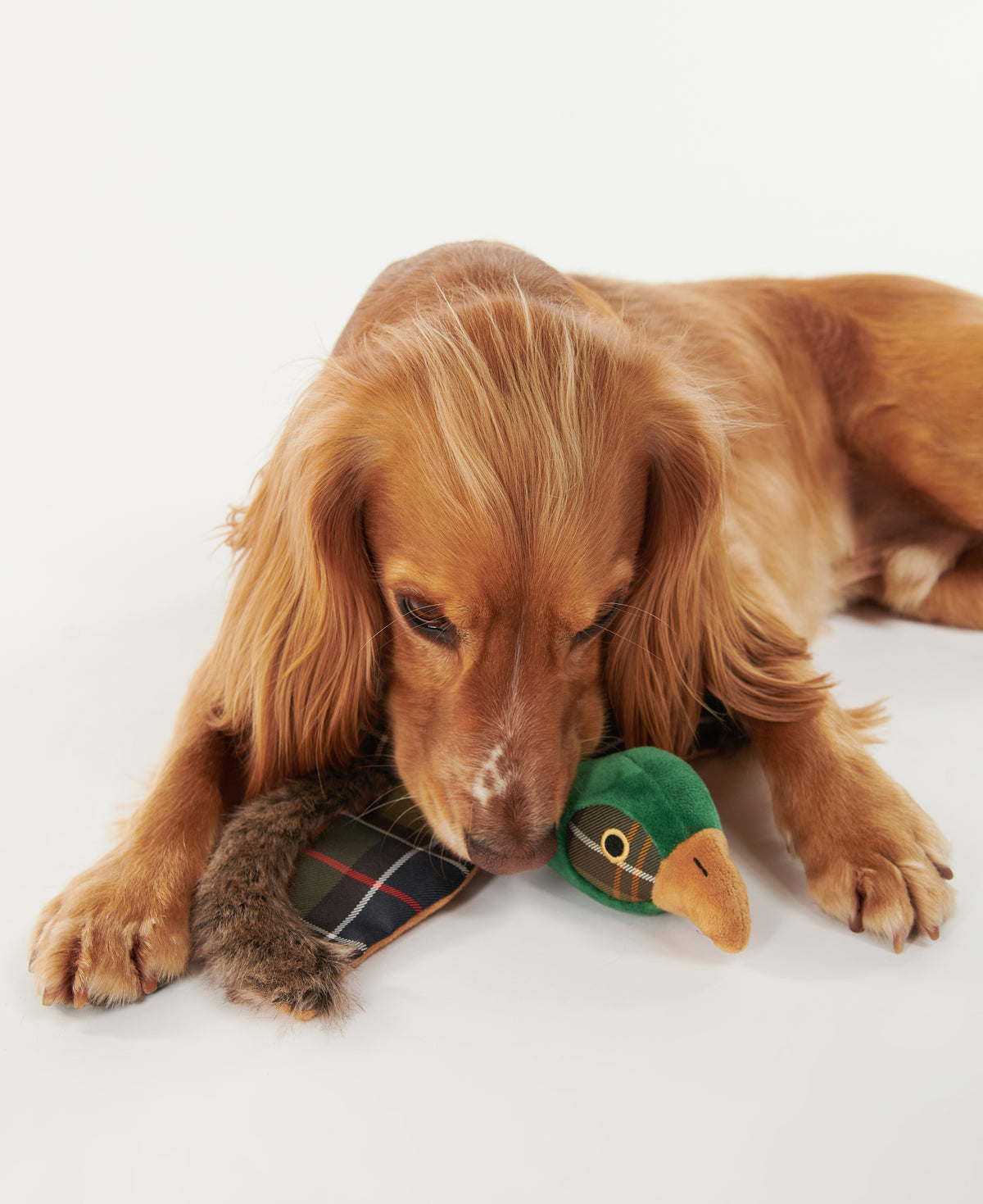 Barbour Dog Toy Pheasant Dog Toy