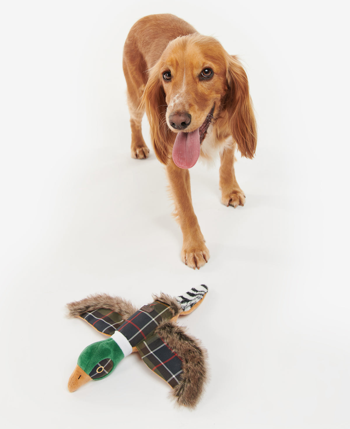 Barbour Dog Toy Pheasant Dog Toy
