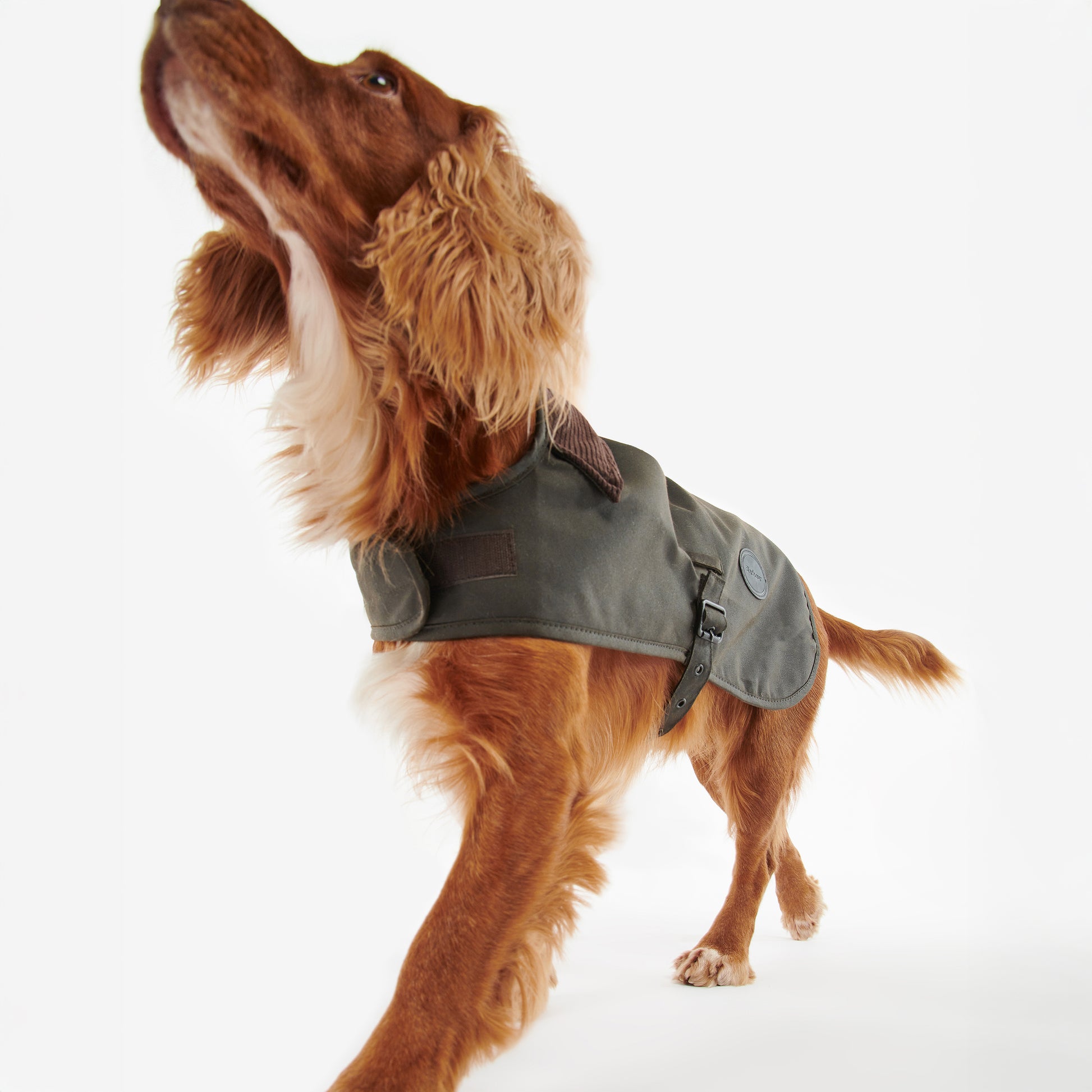 Barbour Dog Wax Dog Coat - Olive