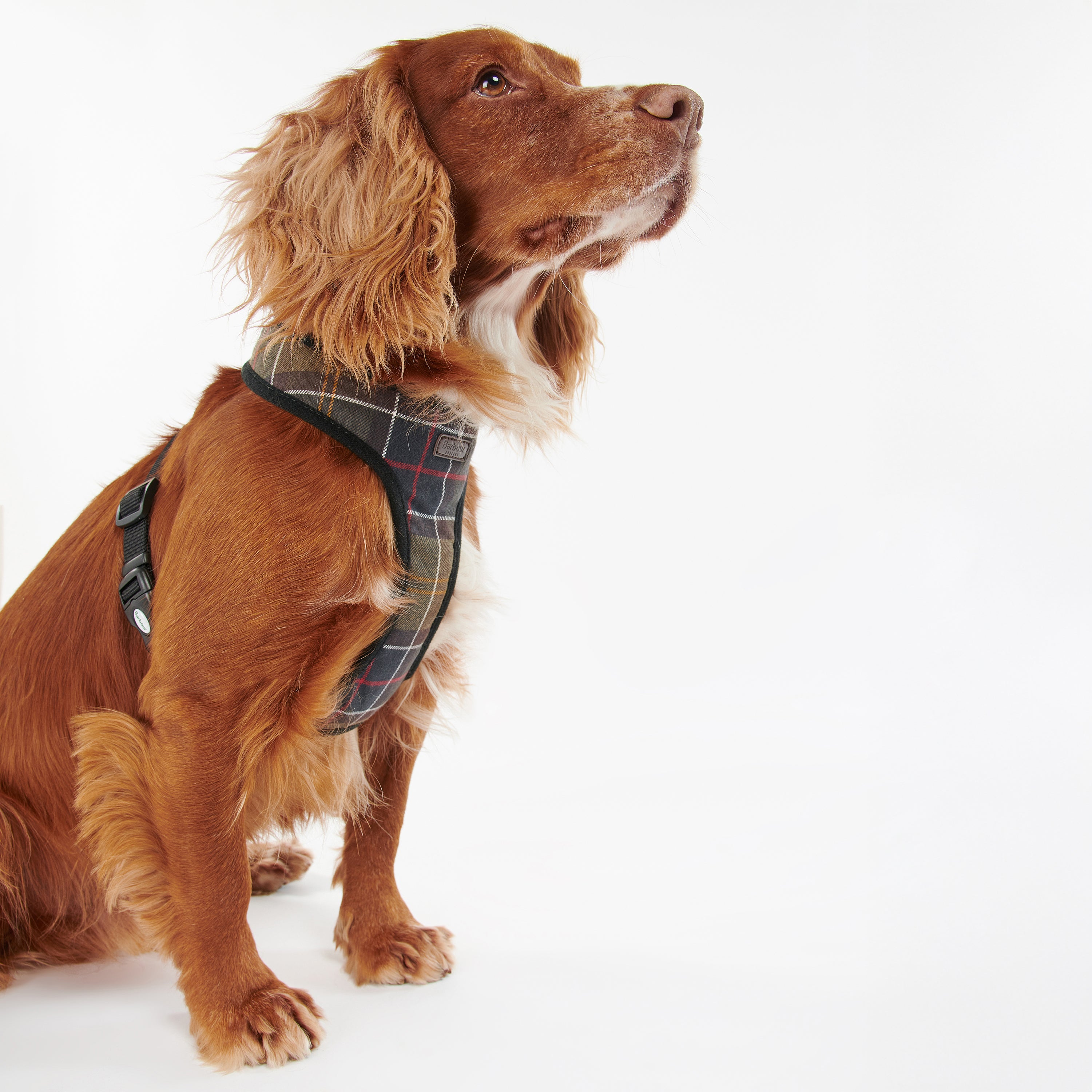 Barbour Harness Tartan Dog Harness