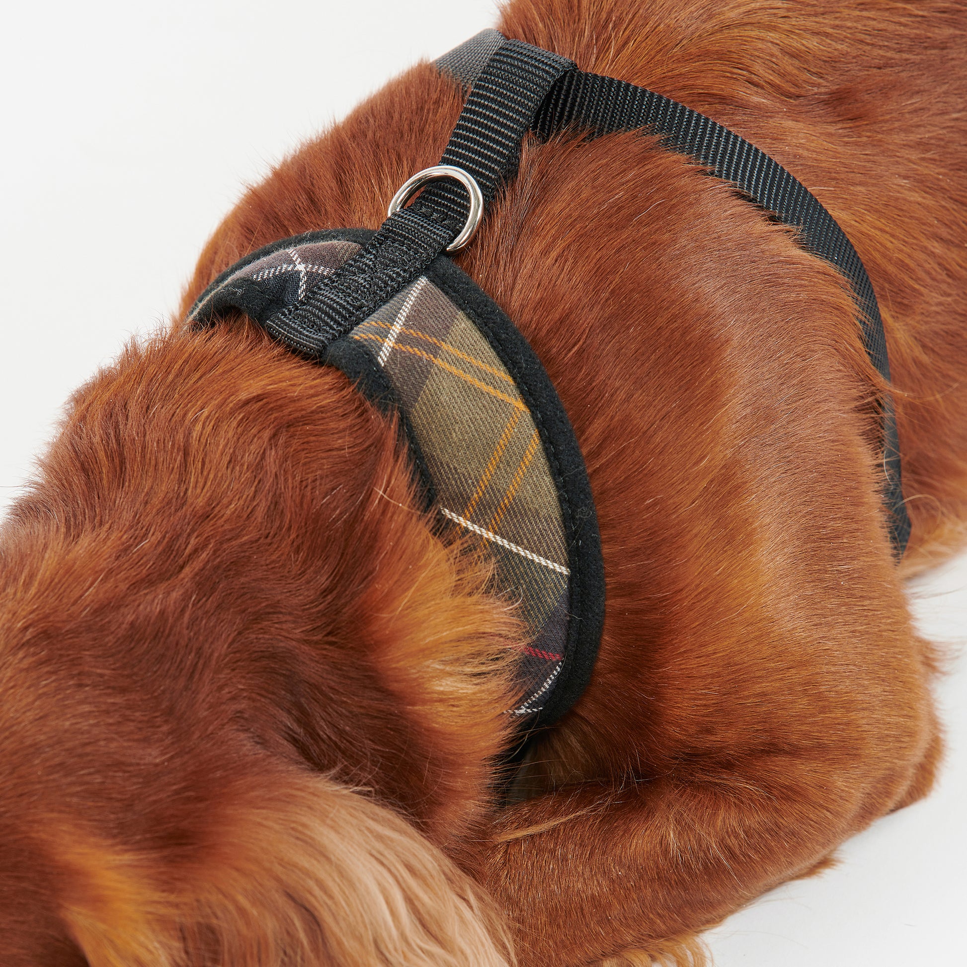 Barbour Harness Tartan Dog Harness
