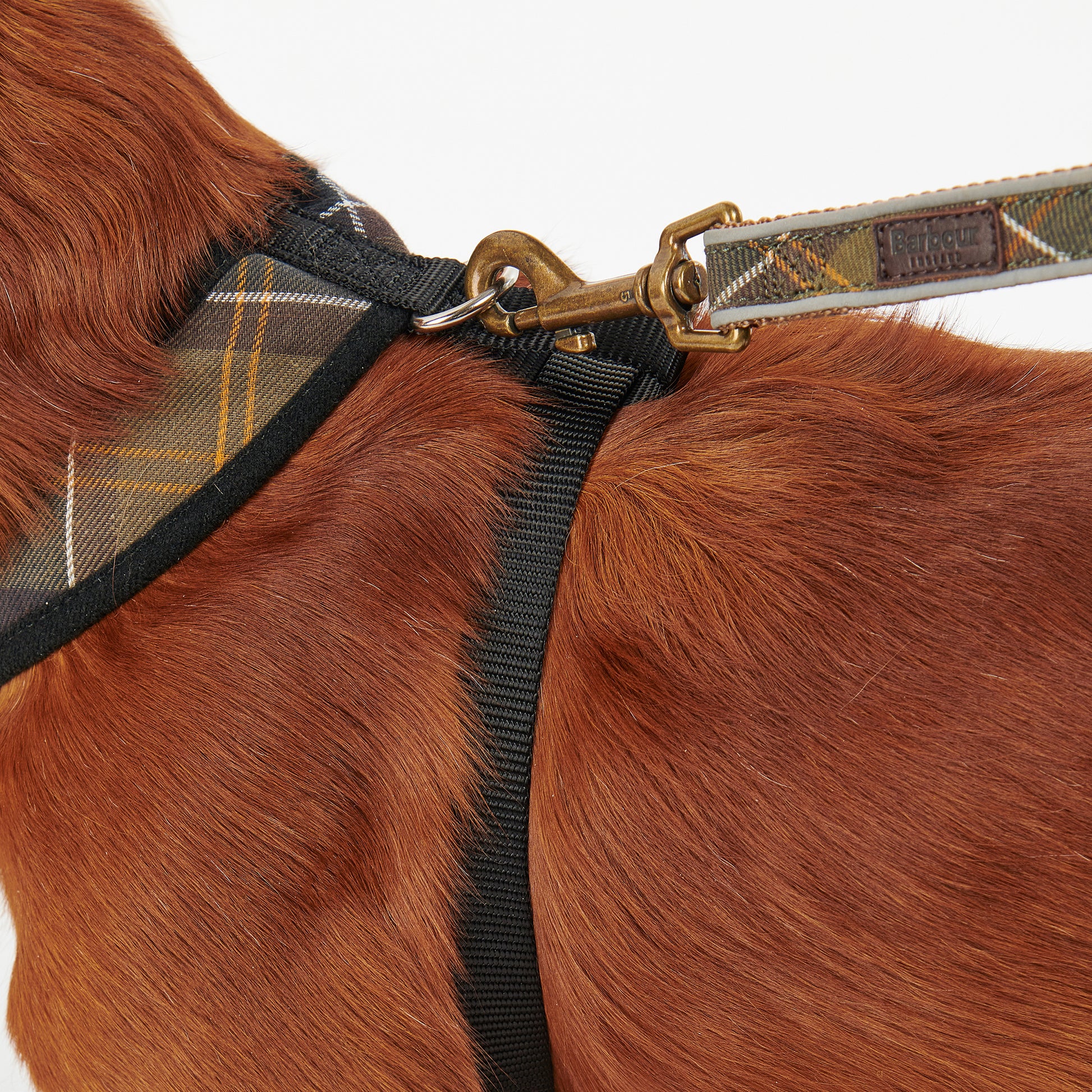 Barbour Harness Tartan Dog Harness