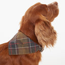 Barbour Pet Bandana Tartan Dog Bandana