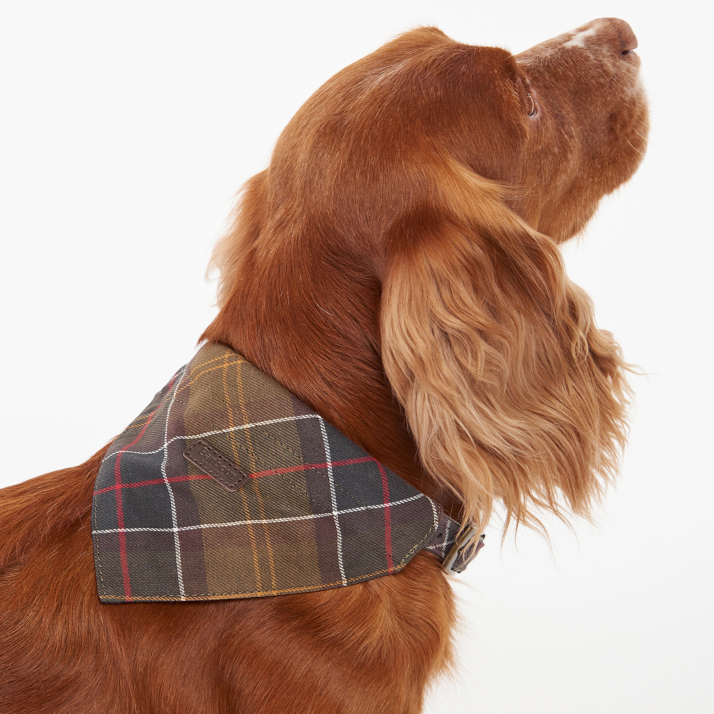 Barbour Pet Bandana Tartan Dog Bandana