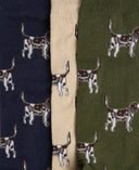 Barbour Socks Pointer Dog / OS Socks Gift Box - Pointer Dog