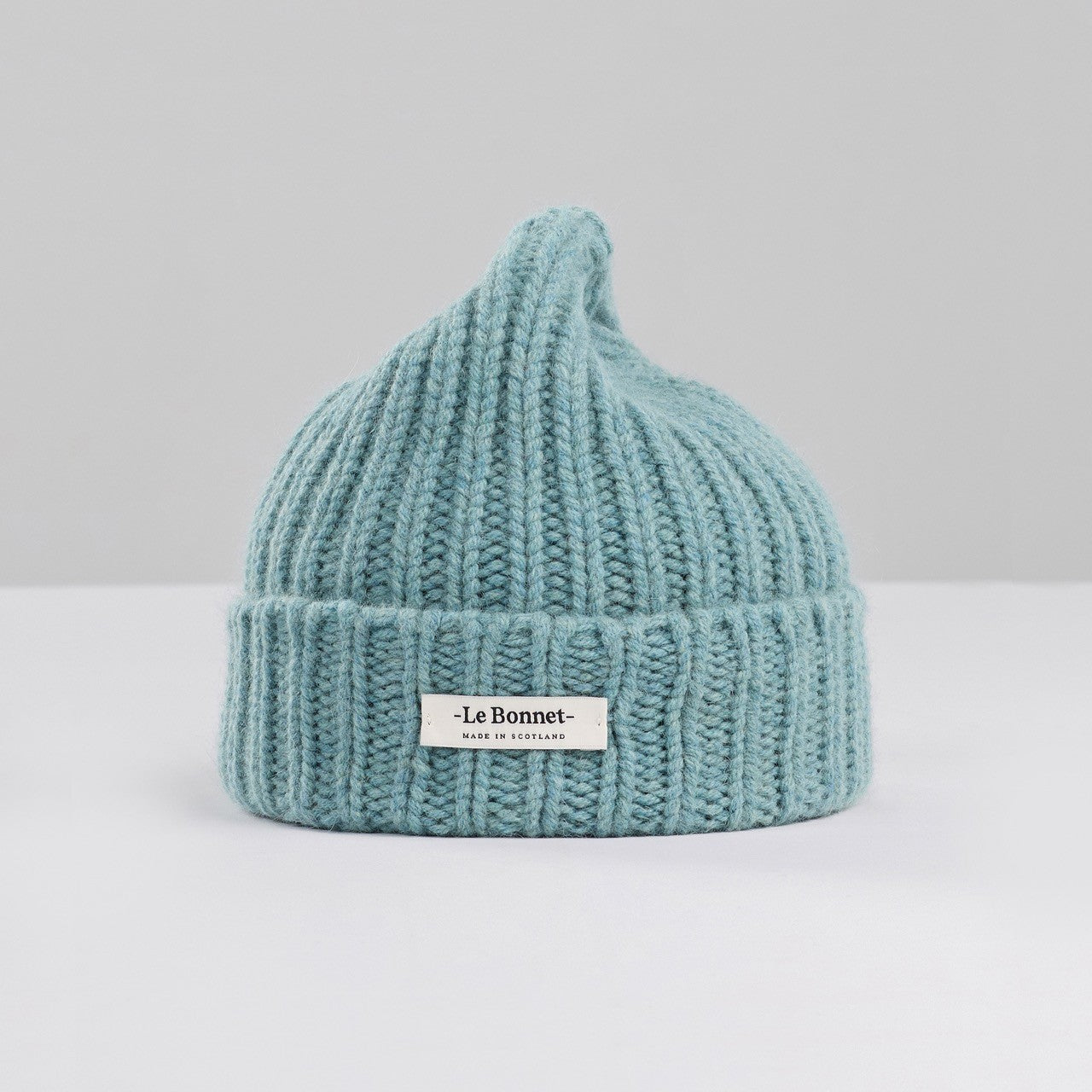 Logo Beanie, Basil