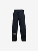 Peak Performance M Pants S 40 Year R&D Gore-Tex Ski Pant - Black