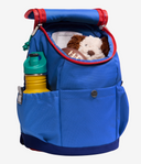 The North Face K Bags OS / Active Blue Youth Mini Explorer Backpack - Active Blue/Bold Blue/Elevation Red