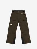The North Face M Pants M Reg Chakal Pants - Dark Chestnut